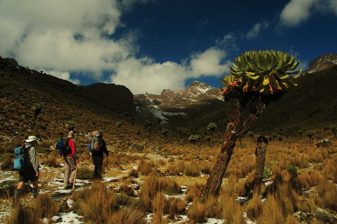 Trekkers ascending Mount Kenya |  Sue Badyari