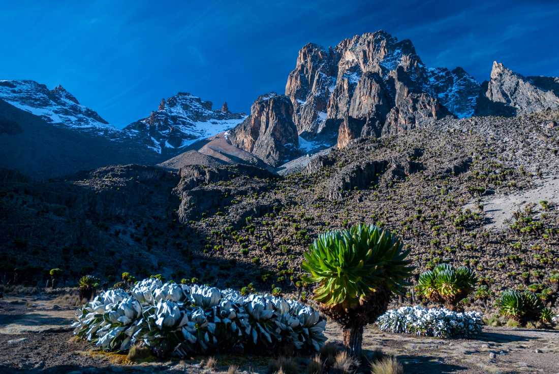 Mt Kenya is considered a more beautiful climb than Kili by many trekkers
