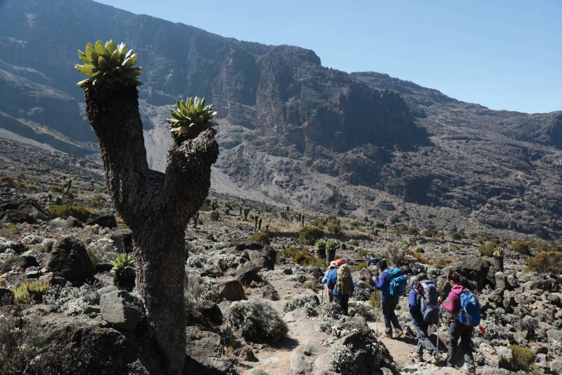 Exploring around Barranco Wall |  <i>Kyle Super</i>