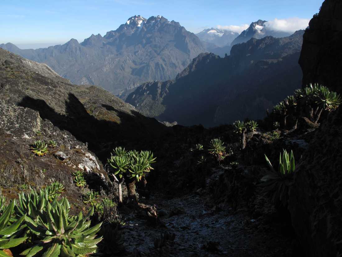 Rwenzori Mountains Uganda