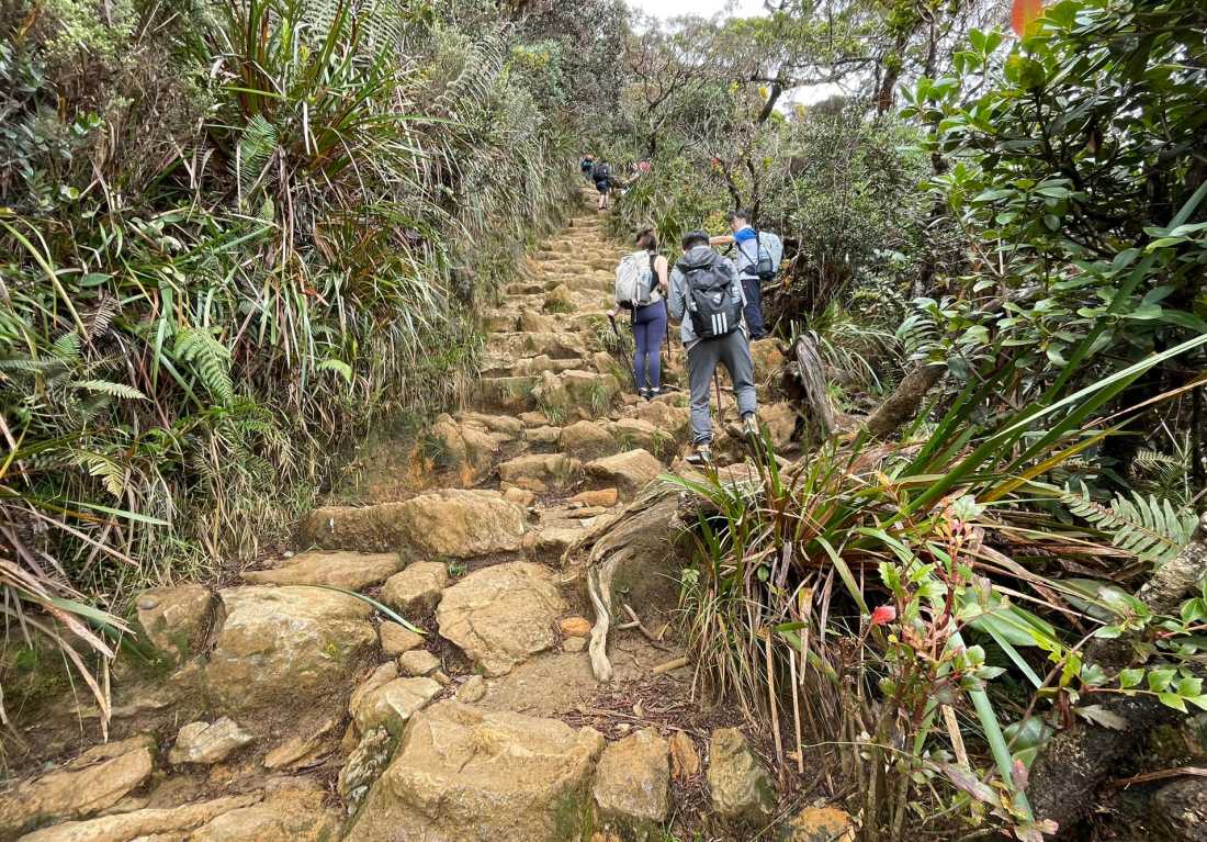 The route up Mt Kinabalu is steep |  Brad Atwal