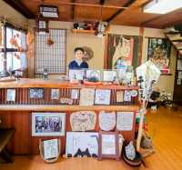 Shikoku Self-Guided Pilgrim Hike in Japan
