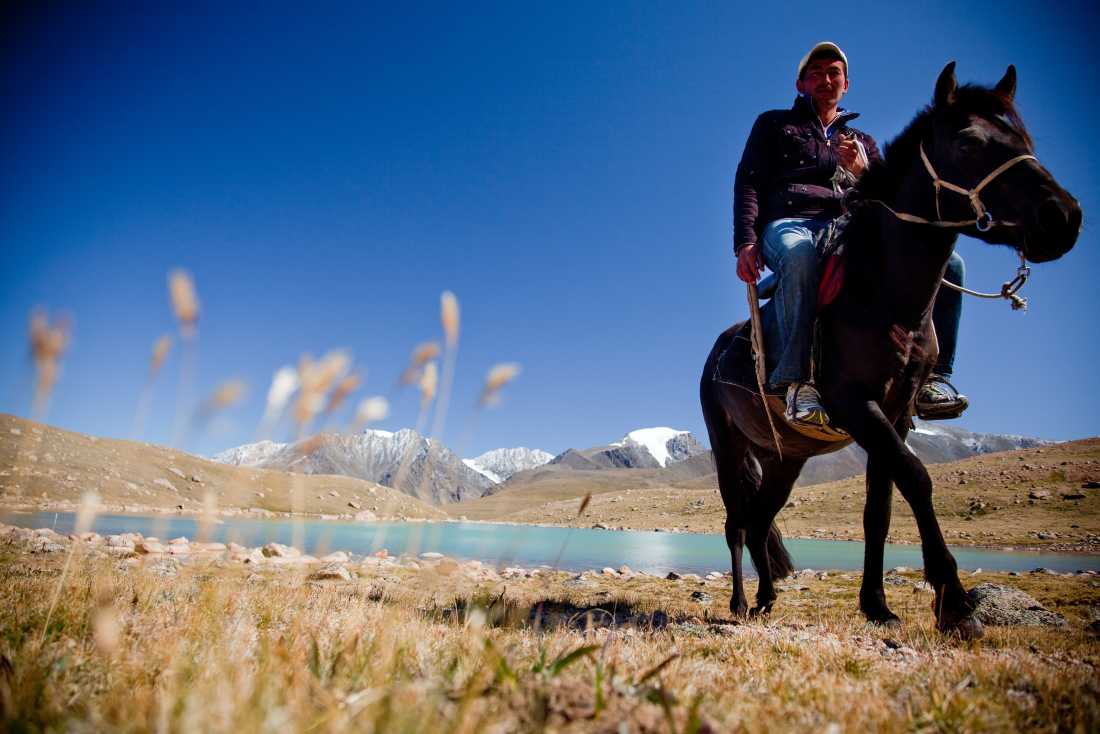 A local horseman, Mongolia |  Cam Cope