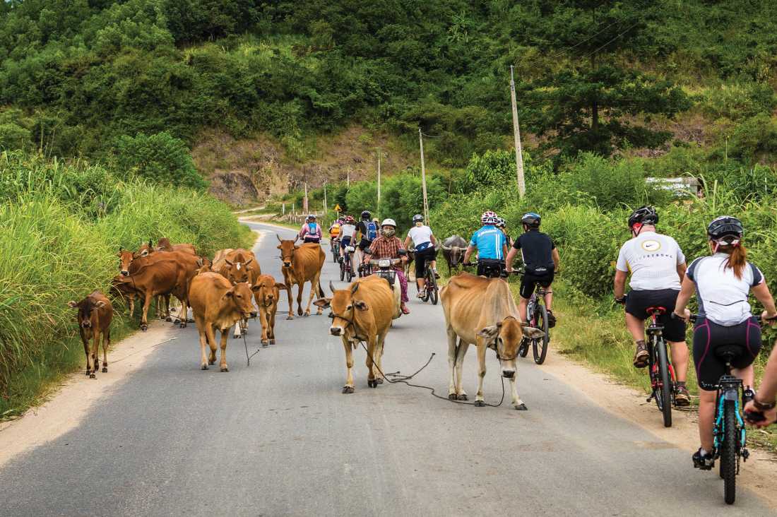 Cycling in Vietnam |  Richard I'Anson