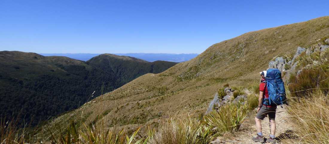 Above the tree line on the Paparoa Track |  Sonia Lehmann