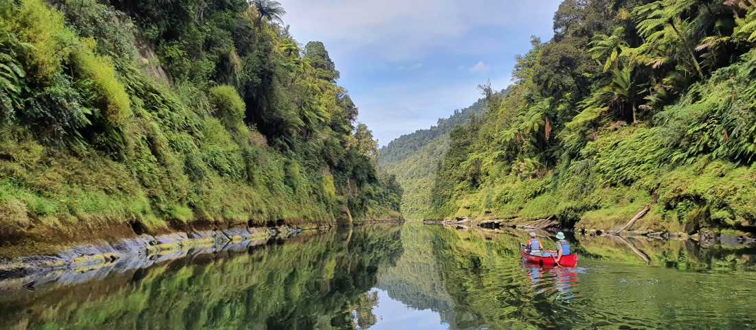 Pristine and relaxing nature along the Whanganui Journey