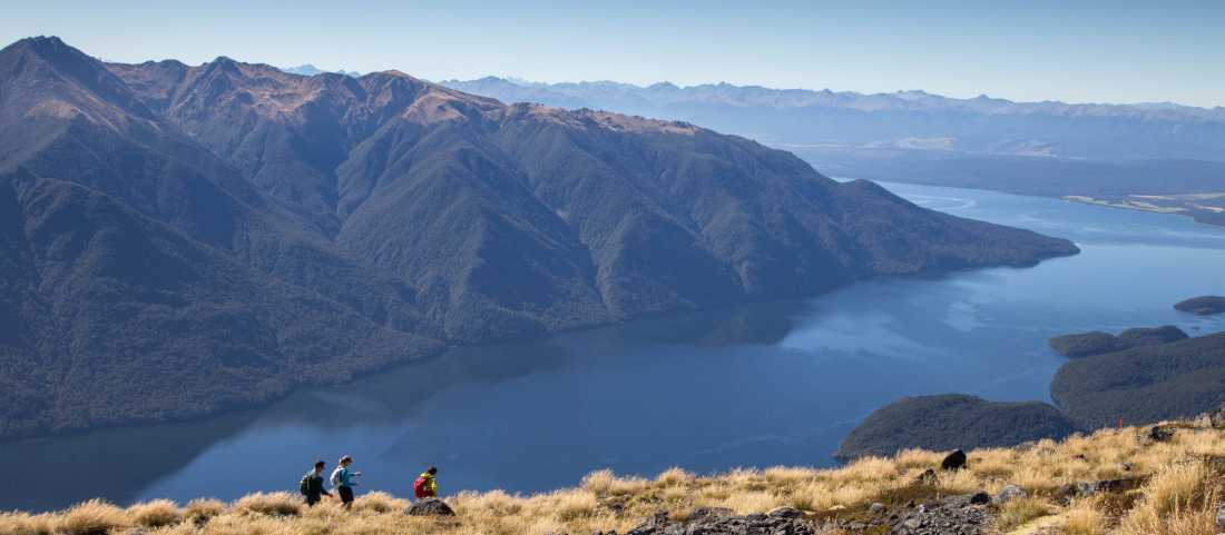 Hiking on the Kepler Track above Lake Te Anau |  Trips and Tramps