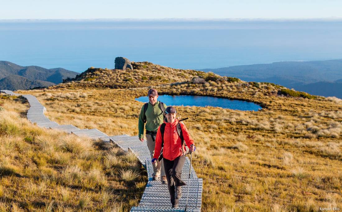 Walkers enjoy the remoteness of the Hump Ridge Track | <i>Tareen Ellis</i>