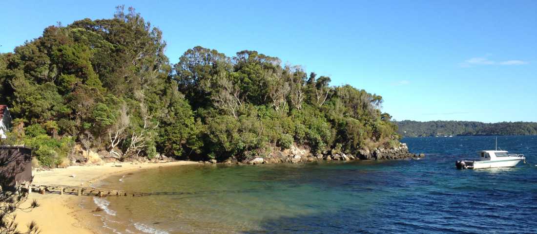 Predator free Ulva Island off Stewart Island |  Janet Oldham