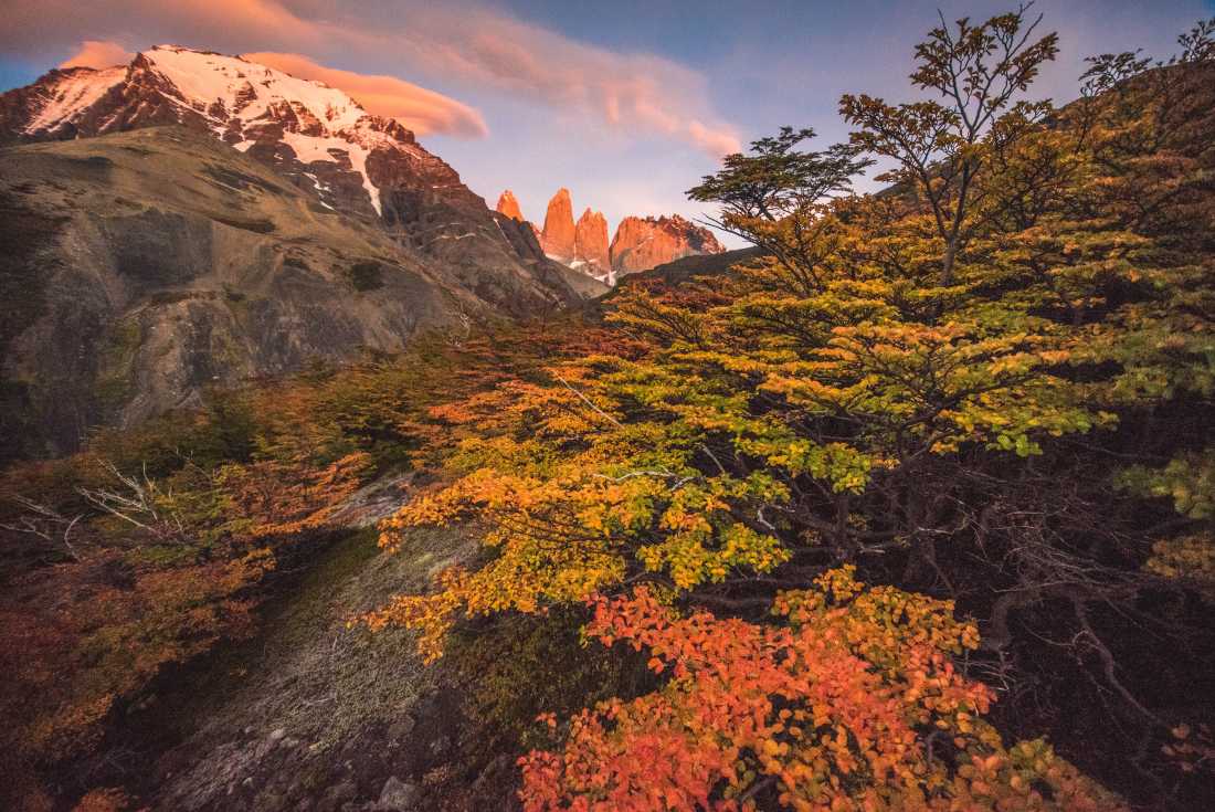 Autumn leaves change the landscape into a fascinating variety of colours in Torres del Paine |  Timothy Dhalleine