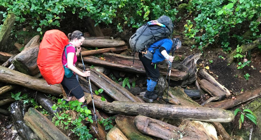 The West Coast Trail requires plenty of focus and concentration |  <i>Patrick Troughton</i>